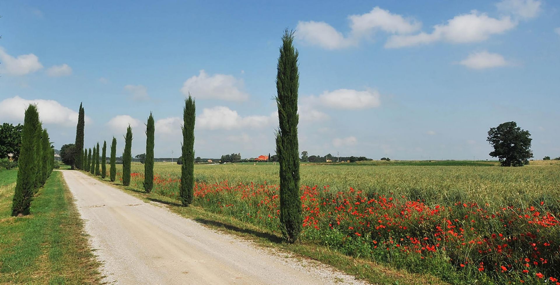Agriturismo Alberese Allegro Agriturismo Alberese Allegro